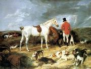unknow artist Classical hunting fox, Equestrian and Beautiful Horses, 032. oil painting picture wholesale